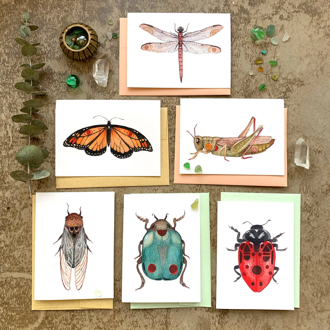 Bug Collection- Small Card Pack
